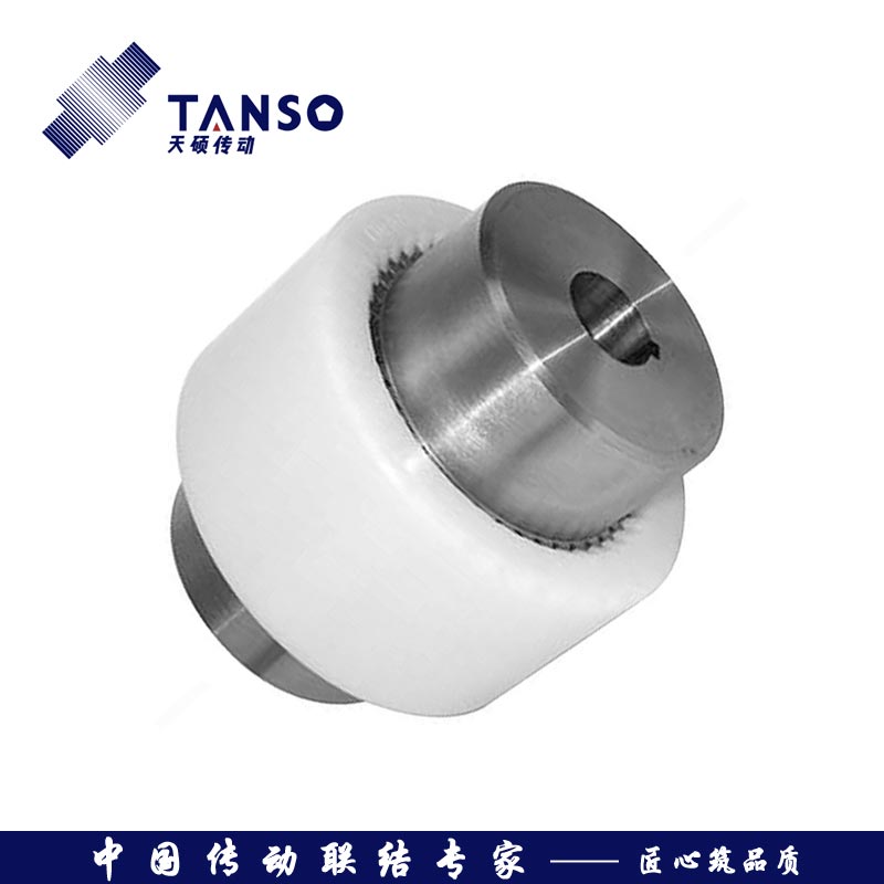 NL型尼龍內齒圈彈性聯